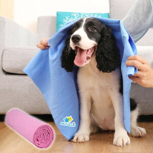 Z[^I ybgp z^I pELp z `ELEXCf _炩ɗD Cオ̑̐@ɍœK ϋv ԁEƖp ړI^I v[gɂ