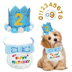  a Xq happy birthday o_i 悾ꂩ t   Lp ybg a Xq  t aObY  t^I ߉\ LO p[eB[ (u[)