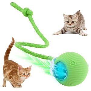 LELEAN œLp dHтX}[g{[ lV/^s S݌v É[h [d lRpmߋ (O[)