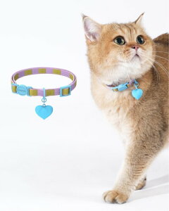 Maogoublue Lp qL ybg ߉\  h~ lR т y KŃ\tg 풅p 20cm-32cm (F+F, 20cm-32cm)