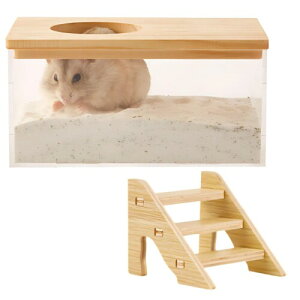 Modest Joy nX^[ gC уP[X ؐKit NA XNGA^ pm}r[ @\ EL oXp Vяt |₷ юUh~ ȓgC TCY