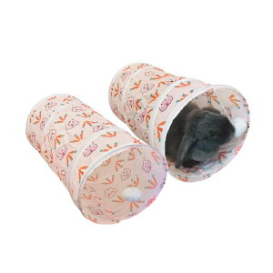  gl 2Zbg  A\  nEX ETM ߋ B ybggl