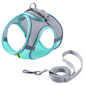 Uccellino  bV n[lX  ʋC  [h ȒP ETMpn[lX (~gO[, XXS)