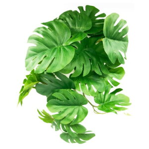 ENN LLC ybgpi lHA roEp zՕtXe t ঒ށEށEJEJGΉ (Xe)
