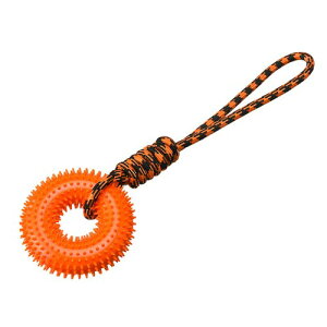 DICOCO 1 XpCj[T[N[v{[Ah[ic??AAƉoAꂢɂA߂C^NeBuybg IW