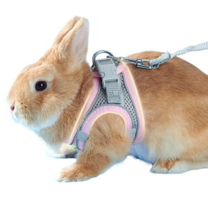 Uccellino  bV n[lX  ʋC  [h ȒP ETMpn[lX (sN, XS)