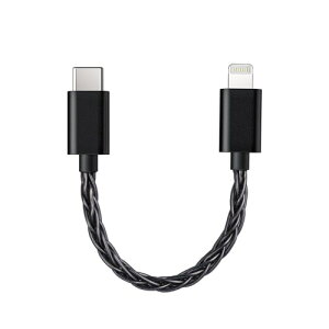 FIIO LT-LT2 FIO-LT-LT2OTGP[u USB Type-C ^CvC Lightning CgjO P[u
