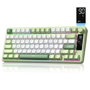 Womier DK75 75% ���C�����X�Q�[�~���O�L�[�{�[�h�i�O���[���j?�N���[�~�[�ȑŌ��� �É��L�[�{�[�h ���f�B�A�m�u��OLED�f�B�X�v���C����