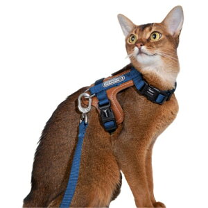 Lucky Friends Ȃ L n[lX [ht Up TCY߉\ ɂ ȒP Lp [hZbg (Cgu[)