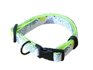 MayChan C` lC`[EH[N hbOJ[  yʑϋv ԃfUC \ SobN ʋC ^ ^ Up (L, zCg×[t)