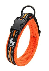 J&C Paradise   {KX p y 3M bV  lC ɂȂ \tgpbh ʋC v ȒP TRUELOVE (IW, ?XXL)