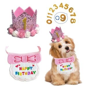  a Xq happy birthday o_i 悾ꂩ t   Lp ybg a Xq  t aObY  t^I ߉\ LO p[eB[ (sN)