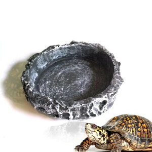 ঒ GTM  gJQ T  R̊C[W EH[^[fBbV a H ঒ޗp tB[fBOfBbV  KG wr 8*8*2cm ЂԂɂ 