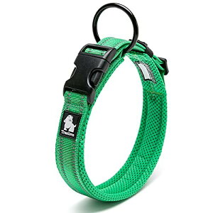 J&C Paradise   {KX p y 3M bV  lC ɂȂ \tgpbh ʋC v ȒP TRUELOVE (O[, ?XS)