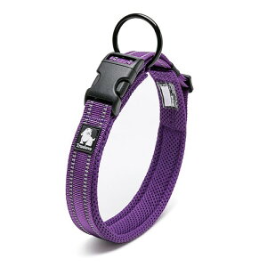 J&C Paradise   {KX p y 3M bV  lC ɂȂ \tgpbh ʋC v ȒP TRUELOVE (p[v, ?M)