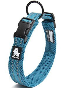 J&C Paradise   {KX p y 3M bV  lC ɂȂ \tgpbh ʋC v ȒP TRUELOVE (u[, ?M)