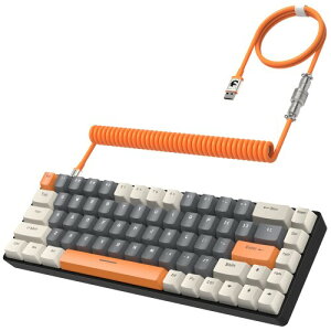 T8 L 65% JjJQ[~OL[{[h RGB LED obNCgt hՓ TKL mCY RCP[u type-c P[u {戵  (Teal)