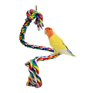 CR p [vp[` z~܂ 50cm v2{ IE Vт uR [v t v RɌ`ς XgX ܂𖁂 xݏꏊ ފߋ ݂艺 