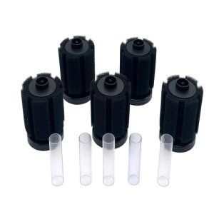 pikake bay  X|W tB^[ ANAE   hߑu h Mы z ({ XY-180 5)