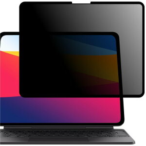 LOE(���G) M5�Ή� 360�x �i�m�T�N�V������ �`�����h�~�t�B���� iPad Pro 13�C���` (M4, 2024) �v���C�o�V�[�t�B���^�[ �ی�t�B����