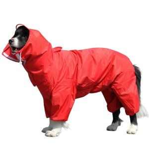 (NyonikoijjRj) CR[g ybgCR[g Jbp ^ ^ ^ Sh h ho h Xqt [h O\ȖXq y EȒP ~J΍ 