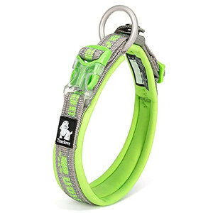 J&C Paradise X^CbV  {KX p y  3M  lC \tgpbh v ߉\ TRUELOVE (O[×O[, XL)