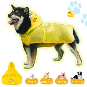 GHOSTCAT  CR[g  ₷ ^ ^ p t[ht AqfUC  |`^ Jo[t St ɗDtBbg _炩n ɋ