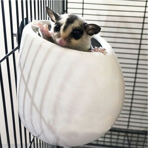 IYOIYA tNK |[`   nEX  Ђ  K Q Q  xbh ݂艺   ΍ M 2C 傫 P[W Q[W t Œ L