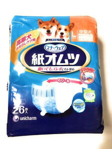 }i[EFA ybgpIc LTCY ^ 26