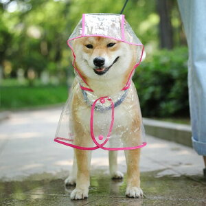  J pCR[g Jbp CR[g  ϐ GȂ EȒP ߉\ v y  h h ʋC h~ ~J΍ U |` P  Xq efBhbO R[