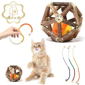 Canplus 4pbN Lpߋ R3{+LTCY܂у{[ Zbg  ^s XgX OVь