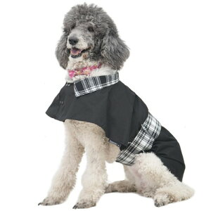 MAMORE p WPbg h |` AEghA EChu[J[  hbOEFA ^ ^ ^ ʋC   EȒP SV (ubN, L)