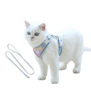 MayChan メイチャン 犬 猫 ハーネス 小型犬用 夜間反射 おしゃれ 高級ナイロン素材 負担軽減 ダブルロック 安全性 通気性 快適調節可能 子犬 子猫向け 可愛い夢幻カラー (XS, スキブルー)