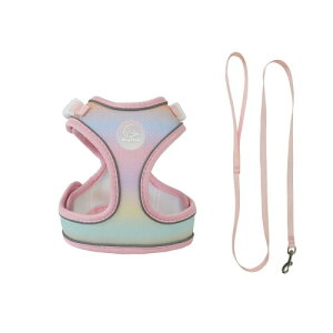 MayChan C`  L n[lX ^p Ԕ  iCf Sy _ubN S ʋC K߉\ q qL J[ (S, sN)