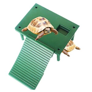 ^ T n T  T a  ڂ VF^[  ঒ P[X (MEO[)