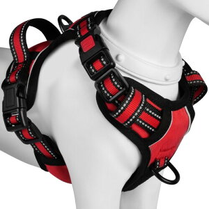 (2025ŐV^n[lX)BaoCheng p ^/^/^n[lX p h~ A^}ʂ P݌y TCY\ Ԕˍ Ȃ ʋC ȒPE 