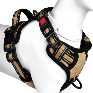 (2025ŐV^n[lX)BaoCheng p ^/^/^n[lX p h~ A^}ʂ P݌y TCY\ Ԕˍ Ȃ ʋC ȒPE 