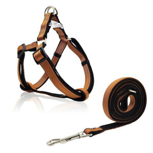 PawHuggies p[nMX pn[lX [h Zbg  ybgpi 4M˖ގ AɗD g[jO⏕ iC ߉\ h~ ^ ^ ^ ʋC V