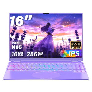 16�C���` �m�[�g�p�\�R���p�\�R���m�[�g/�C���e��Celeron N95����CPU 1.7GHz�`3.4GHz/2.5K�t��IPS �𑜓x(2560*1600)/������DDR4 16GB/��F��/�L�x�ȋ@�\��laptop �����ݒ�s�v (�p�[�v��, 16G+256GB SSD)