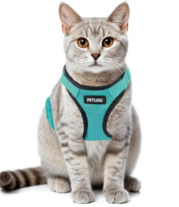 猫 ハーネス 抜けない リード 散歩用 お出かけ ベスト ソフト胸あて 軽量 サイズ調節可 通気メッシュ ねこ ネコ 子猫 子犬 小型犬 (背縄/1/緑S)