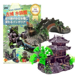 UTST ANAE  IuWF  I[ig  ANAE  B _J ق̑ (]{)