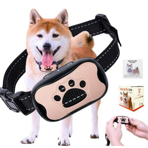 TTFP ʖih~ ^p 53gy dVbNsgp S 7iKs[̉&U h ObY {ti sNj