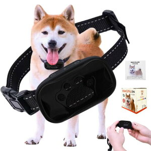 TTFP ʖih~ ^p 53gy dVbNsgp S 7iKs[̉&U h ObY {ti ubNj