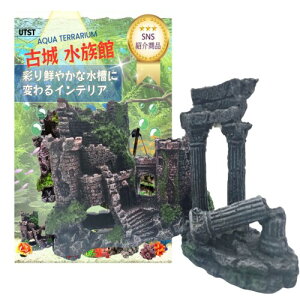 UTST ANAE  I[ig ANAE  IuWF B  ANAE  pi (A)