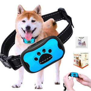 TTFP ʖih~ ^p 53gy dVbNsgp S 7iKs[̉&U h ObY {ti u[j