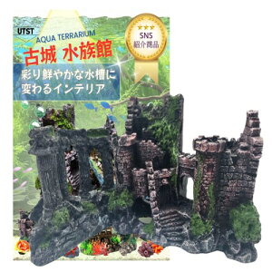 UTST ANAE  I[ig ANAE  IuWF B  ANAE  pi (B)