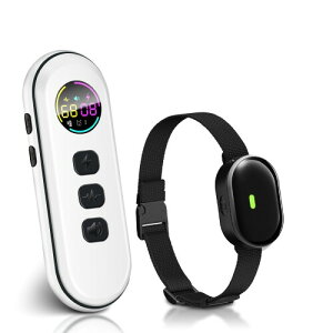 ^pdցAyʁ^̌pg[jOցA1300tB[g̃[gtA^i5`15|hjђ^ɓA198iK̐AhA[diubN