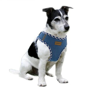 Aiminto fjpn[lXAʋC̍bVfށAyʁAn[lXɔˍޕt - ^p (n[lX(xCr[u[), S͈36-42cm)