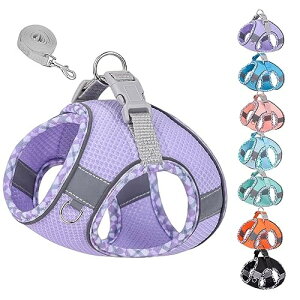 KUVEELA PET ^ L ^ n[lX [hZbg [v   hbOEGA ˌXgbvt bV  ߉\ U EȒPip[v XXSj