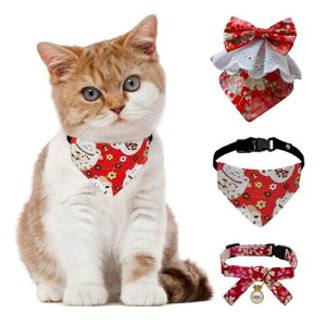 EpicCos ybg Opo_i Lp  킢 LfUC ybgpi Gv \obN a LANZT[ (Style A)